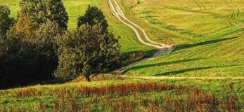 Źródło: ziemiadobrzynska.pl