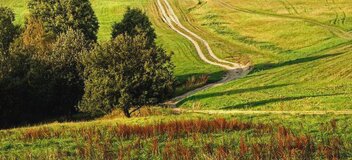 Źródło: ziemiadobrzynska.pl