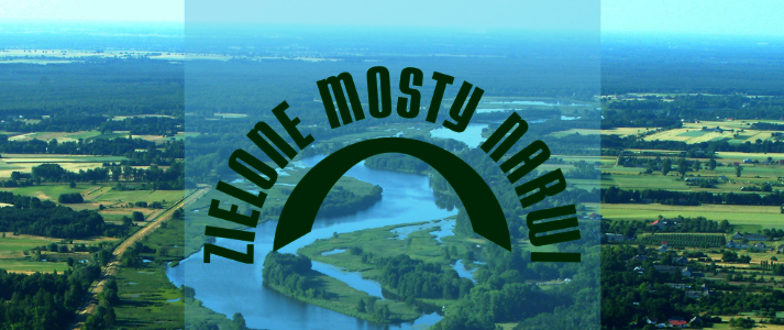 fot. Logo LGD Zielone Mosty Narwi
