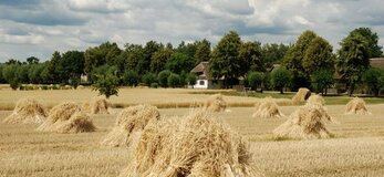 fot. www.mwmskansen.pl
