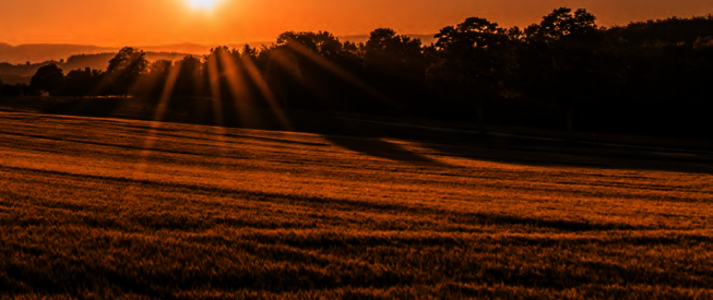 zdjęcie z serwisu Unsplash