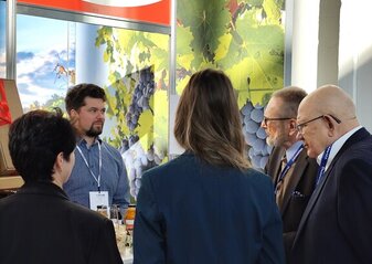 Zielono mi - stoisko