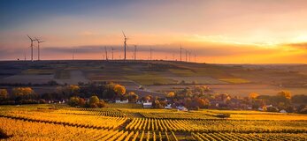 Źródło: pixabay.com