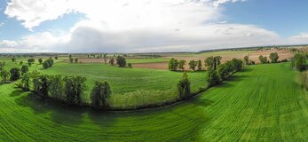 Źródło: pixabay.com