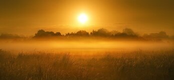 Źródło: pixabay.com